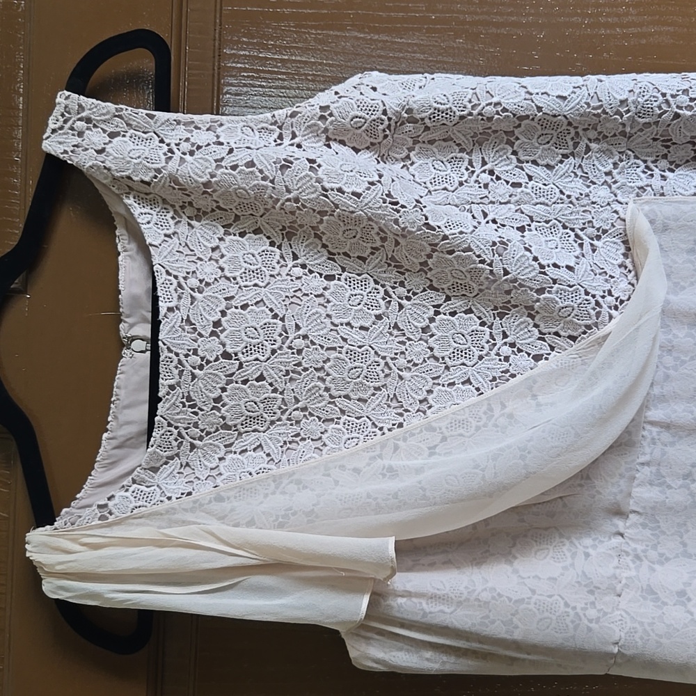 Ann Taylor-Beige lace sheath dress with chiffon overlay on right side Sz 16P - Picture 2 of 8